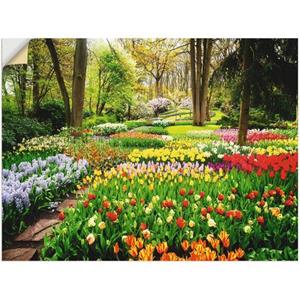 Artland Artprint Tulpenbloesem - Tulpen tuin voorjaar als artprint van aluminium, artprint op linnen, muursticker of poster in verschillende maten