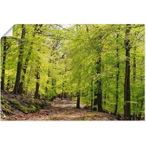 Artland Artprint De beuken in de lente als artprint van aluminium, artprint voor buiten, artprint op linnen, poster, muursticker