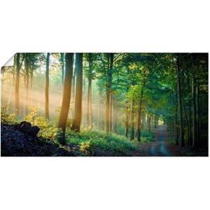 Artland Artprint Herfstbos aan de Duisitzkarsee - Herfstmorgen in het bos als artprint van aluminium, artprint op linnen, muursticker of poster in verschillende maten