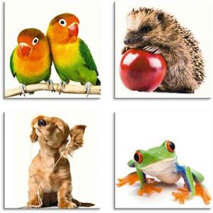 Artland Artprint op linnen Egel hond kikker set van 4, verschillende maten (4 stuks)