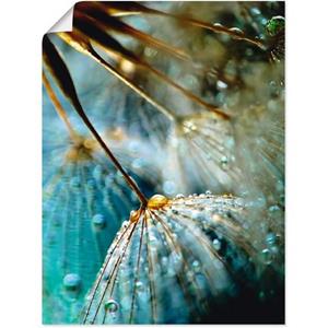 Artland Artprint Pluizenbol mystieke schoonheid als artprint van aluminium, artprint op linnen, muursticker of poster in verschillende maten