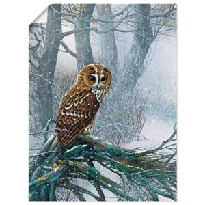 Artland Artprint Uil in ondergesneeuwd bos als artprint op linnen, muursticker of poster in verschillende maten