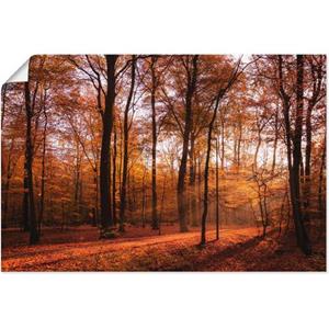 Artland Artprint Zonsopkomst in de herfst II als artprint van aluminium, artprint op linnen, muursticker of poster in verschillende maten
