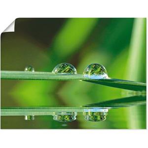 Artland Artprint Twee waterdruppels als artprint op linnen, muursticker of poster in verschillende maten