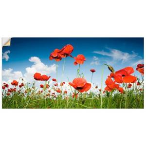 Artland Artprint Veld met klaprozen onder de hemel als artprint van aluminium, artprint op linnen, muursticker of poster in verschillende maten