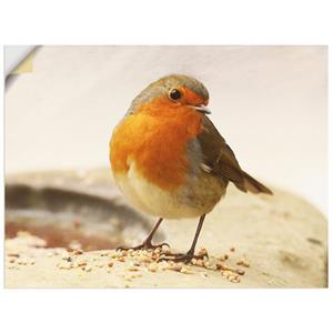 Artland Artprint Roodborst als artprint op linnen, muursticker of poster in verschillende maten