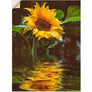 Artland Artprint Zonnebloem als artprint van aluminium, artprint op linnen, muursticker of poster in verschillende maten