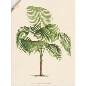 Artland Artprint Palm I als artprint van aluminium, artprint op linnen, muursticker of poster in verschillende maten