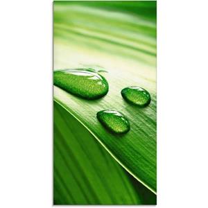 Artland Print op glas Close-up van een groen plantenblad in verschillende maten