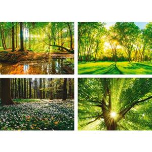 Artland Poster Bos beek voorjaar windroos zon boom Poster, artprint, wandposter (4 stuks)