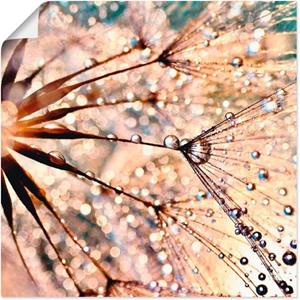 Artland Artprint Pluizenbol - Kisses from rain als artprint van aluminium, artprint op linnen, muursticker of poster in verschillende maten