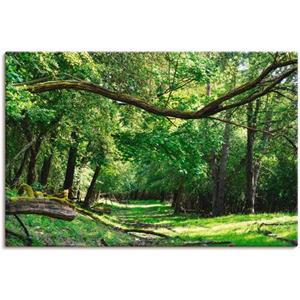 Artland Artprint Op de groene weg door het groene bos als artprint van aluminium, artprint voor buiten, artprint op linnen, poster in verschillende maten. maten