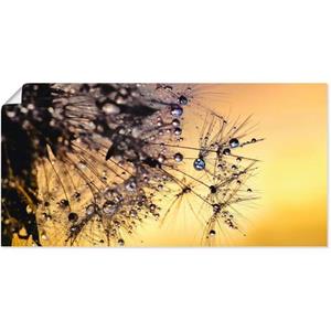 Artland Artprint Pluizenbol met dauwdruppel bevochtigd als artprint van aluminium, artprint op linnen, muursticker of poster in verschillende maten