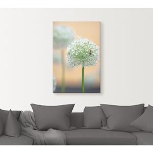 Artland Artprint Grote sierlook in pastel als artprint van aluminium, artprint op linnen, muursticker of poster in verschillende maten