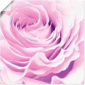 Artland Artprint Pastel Roos als artprint op linnen, muursticker of poster in verschillende maten
