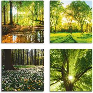 Artland Artprint op linnen Bos beek voorjaar windroos zon boom set van 4, verschillende maten (4 stuks)