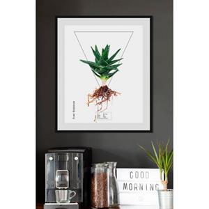 Queence Wanddecoratie Aloë vera (1 stuk)