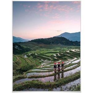 Wall-Art Poster "Reisterrassen Vietnam", Landschaften, (1 St.), Poster, Wandbild, Bild, Wandposter