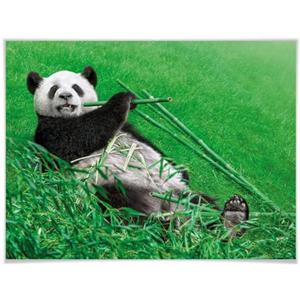 Wall-Art Poster "Waldtiere Bambus Panda", Tiere, (1 St.), Poster, Wandbild, Bild, Wandposter