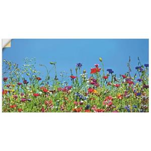 Artland Artprint Bloemenweide II als artprint van aluminium, artprint op linnen, muursticker of poster in verschillende maten