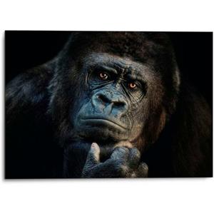 Platinum Aluminium-dibondprint Gorilla (1 stuk)