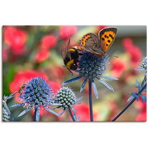 Artland Artprint Kleine vuurvlinder en hommel als artprint van aluminium, artprint op linnen, muursticker of poster in verschillende maten