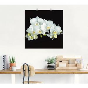 Artland Artprint Witte orchidee op een zwarte achtergrond als artprint van aluminium, artprint op linnen, muursticker of poster in verschillende maten