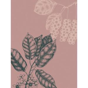 Komar Artprint Wild berry (1 stuk)