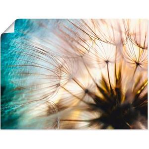 Artland Artprint Pluizenbol macro abstract als artprint van aluminium, artprint op linnen, muursticker of poster in verschillende maten