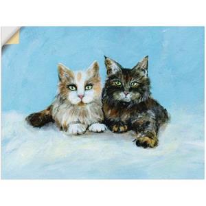 Artland Artprint Jonge Maine-Coon katten als artprint op linnen, muursticker of poster in verschillende maten