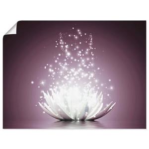 Artland Artprint Magie van de lotusbloem als artprint op linnen, muursticker of poster in verschillende maten