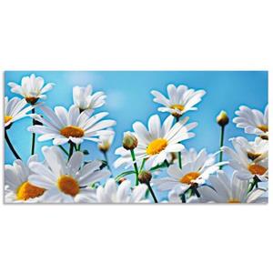 Artland Artprint Bloemen - margrieten als artprint van aluminium, artprint op linnen, muursticker of poster in verschillende maten