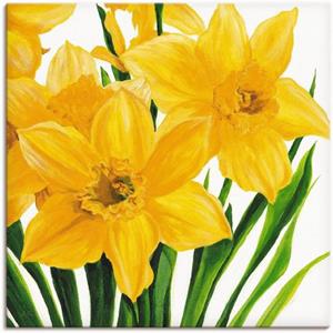 Artland Artprint Gele narcissen als artprint van aluminium, artprint op linnen, muursticker of poster in verschillende maten