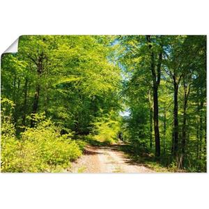 Artland Artprint Blauwe hemel boven het bos in mei als artprint op linnen, poster in verschillende formaten maten