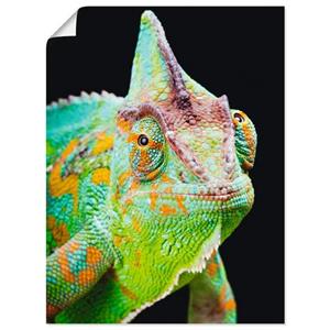 Artland Artprint Yemen kameleon als artprint van aluminium, artprint op linnen, muursticker of poster in verschillende maten