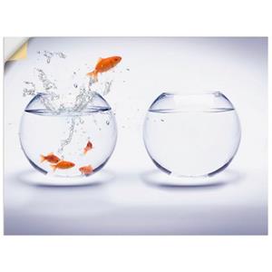 Artland Artprint Goudvisaquarium als artprint van aluminium, artprint op linnen, muursticker of poster in verschillende maten