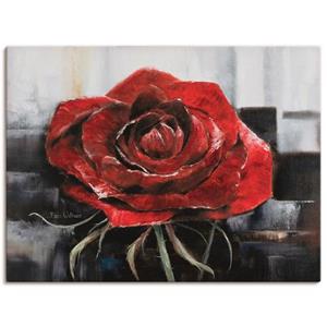 Artland Artprint Bloeiende rode roos als artprint op linnen, muursticker of poster in verschillende maten