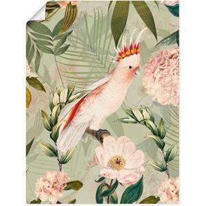 Artland Artprint Vintage papegaai als artprint van aluminium, artprint op linnen, muursticker of poster in verschillende maten