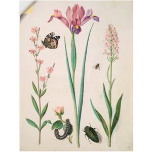Artland Artprint Admiraal, roos iris orchid. als artprint op linnen, muursticker of poster in verschillende maten