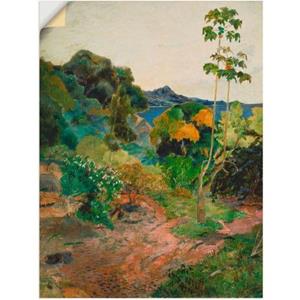 Artland Artprint Kustlandschap op Martinique als artprint op linnen, muursticker of poster in verschillende maten