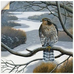 Artland Artprint Valk in boom als artprint op linnen, muursticker of poster in verschillende maten