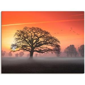 Artland Artprint Filigraan en meer... als artprint op linnen, muursticker of poster in verschillende maten