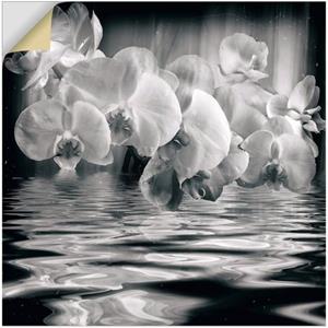 Artland Artprint als artprint van aluminium, artprint op linnen, muursticker of poster in verschillende maten