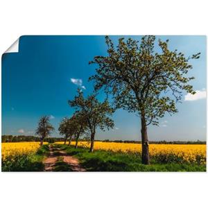Artland Artprint Knollenland II als artprint van aluminium, artprint op linnen, muursticker of poster in verschillende maten