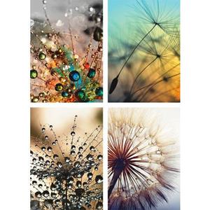 Artland Poster Pluizenbol,close-up paardenbloem Poster, artprint, wandposter (4 stuks)