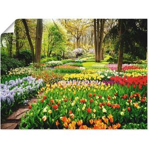Artland Artprint Tulpenbloesem - Tulpen tuin voorjaar als artprint van aluminium, artprint op linnen, muursticker of poster in verschillende maten