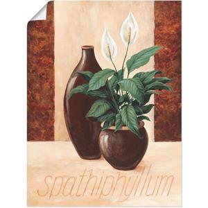 Artland Artprint Spathiphyllum - Lepelplant als artprint van aluminium, artprint op linnen, muursticker of poster in verschillende maten