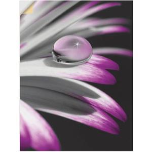 Artland Artprint Druppel als artprint op linnen, muursticker of poster in verschillende maten