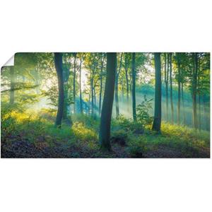 Artland Artprint Bos panorama als artprint van aluminium, artprint op linnen, muursticker of poster in verschillende maten