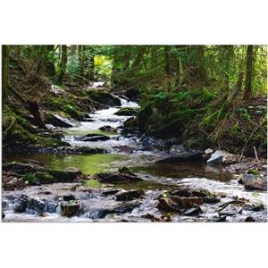 Artland Artprint Loop van de beek in het bos als artprint van aluminium, artprint voor buiten, artprint op linnen, poster, muursticker